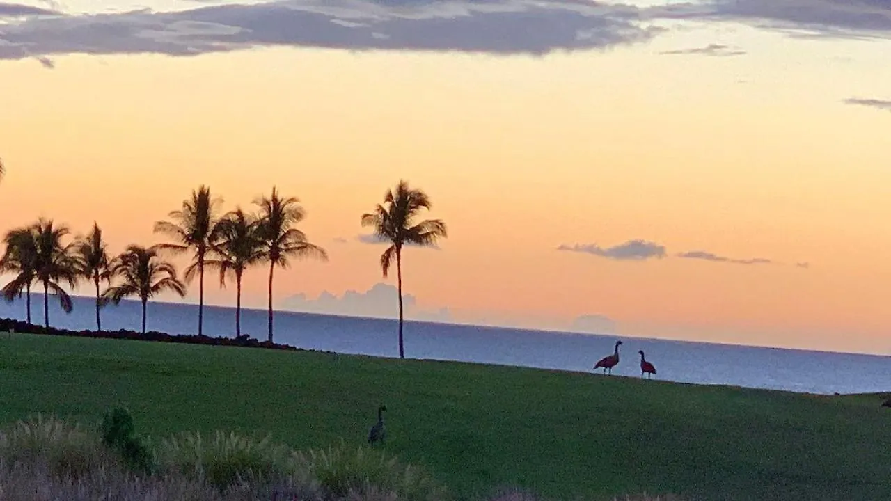 Halii Kai 8C Villa Waikoloa United States